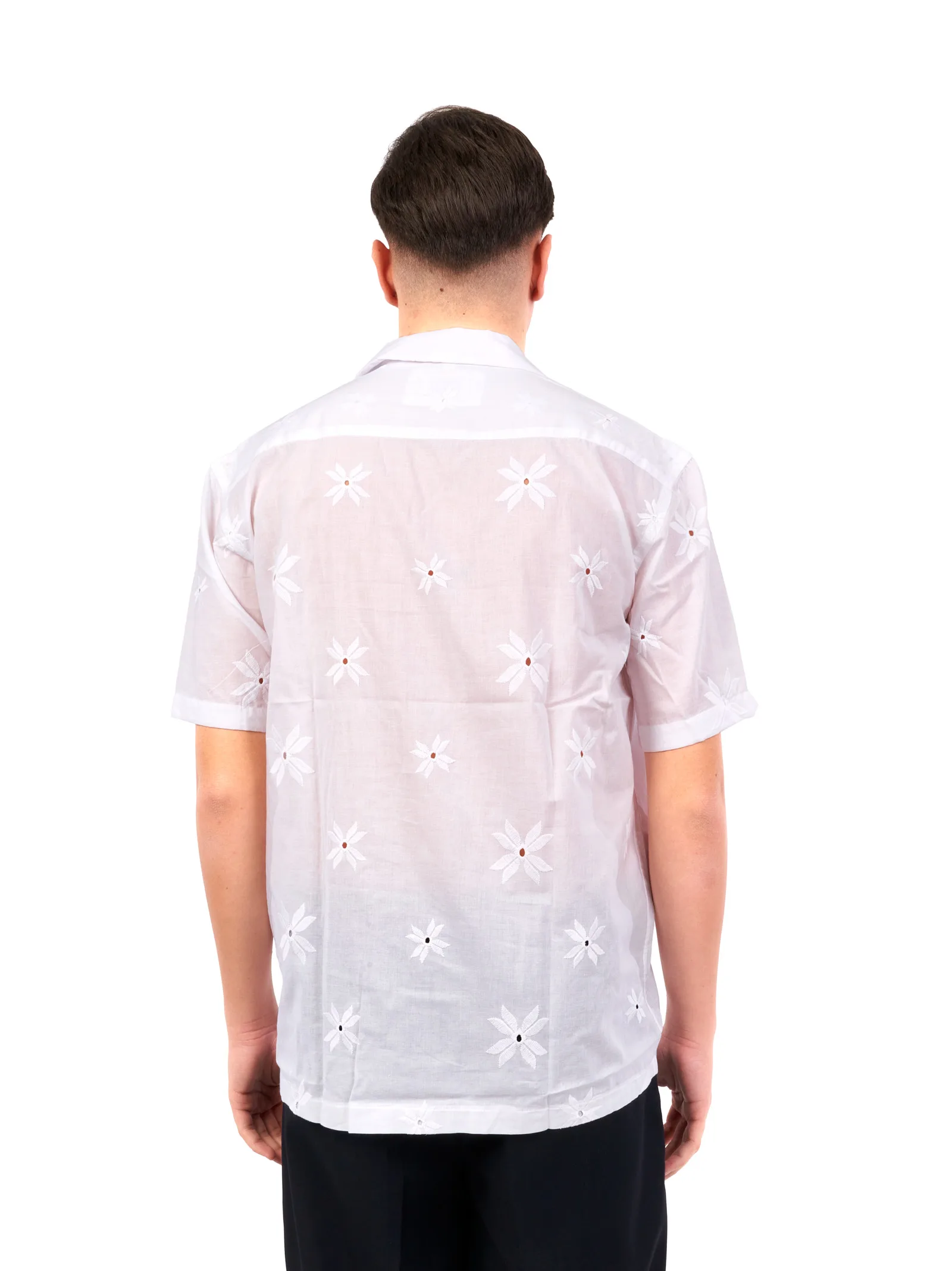 SSEINSE - Immagine 6